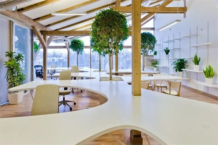 A bright, open-plan office space with plants.